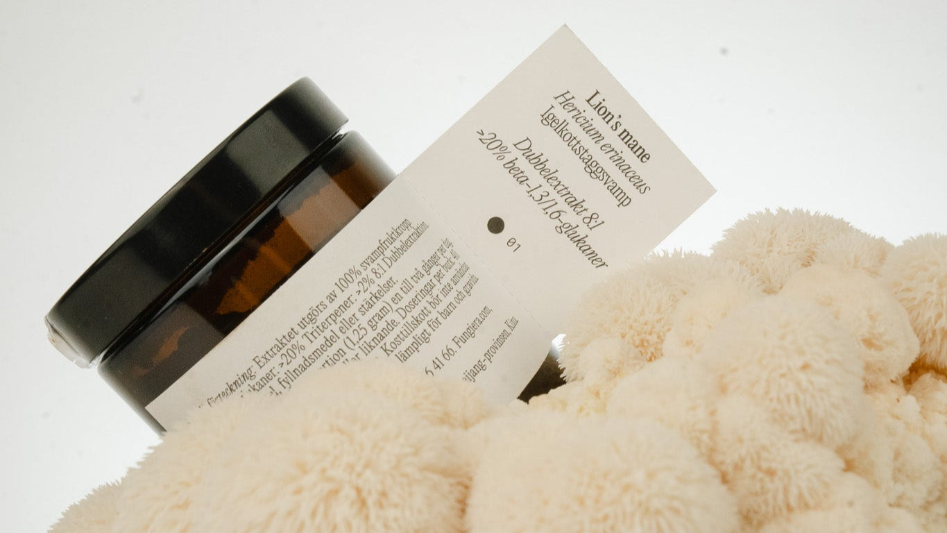 Fungi.Era lion's mane, the most powerful extract on the market